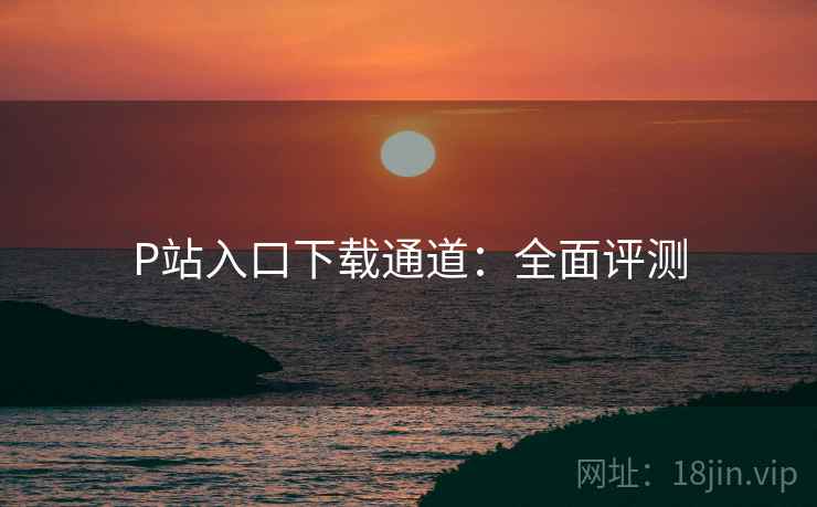 P站入口下载通道：全面评测