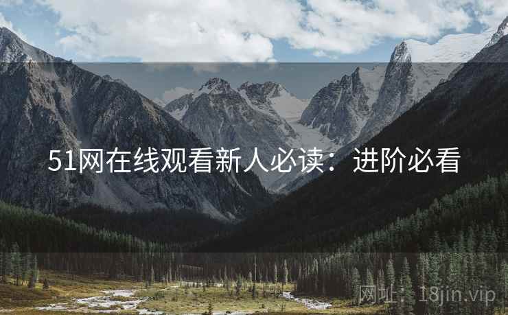 51网在线观看新人必读：进阶必看