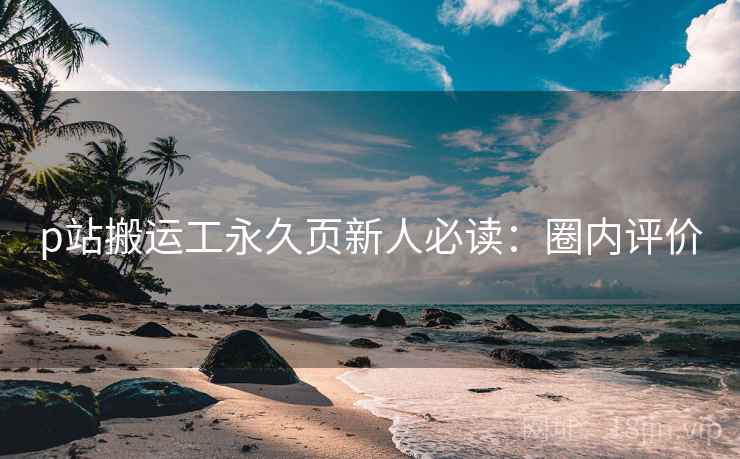 p站搬运工永久页新人必读：圈内评价