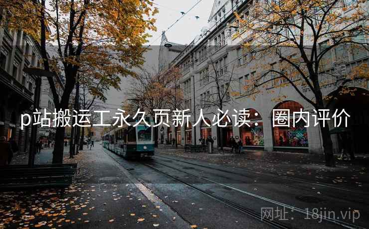 p站搬运工永久页新人必读：圈内评价
