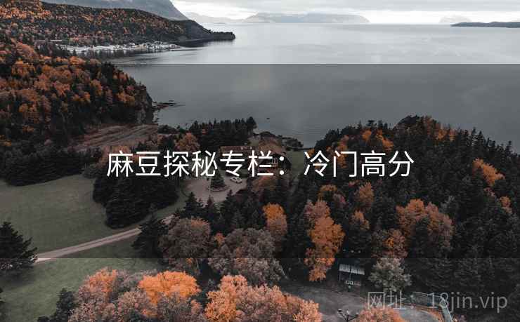 麻豆探秘专栏：冷门高分
