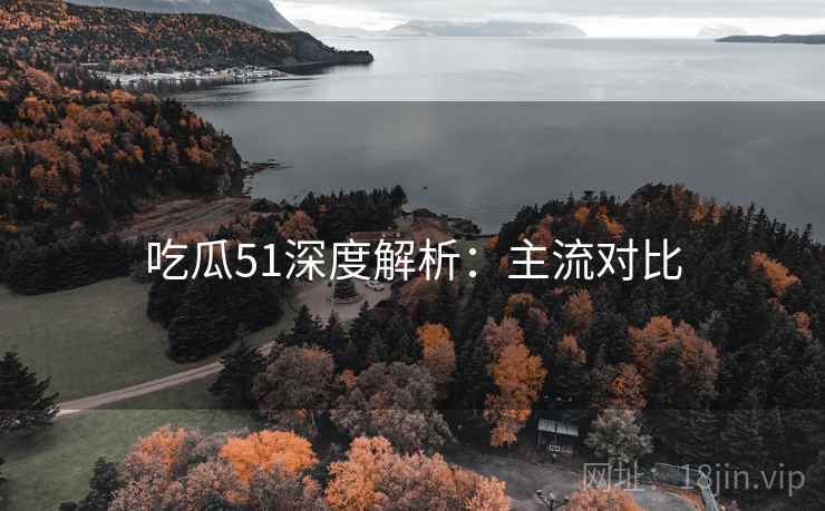 吃瓜51深度解析：主流对比