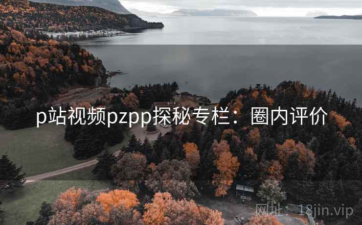p站视频pzpp探秘专栏：圈内评价