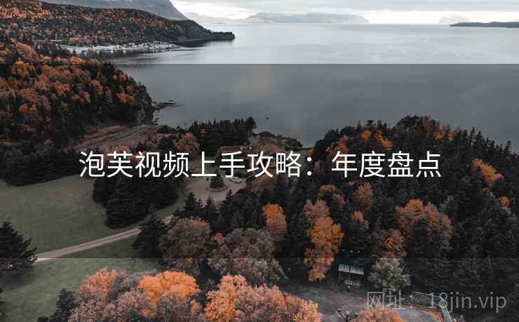 泡芙视频上手攻略：年度盘点
