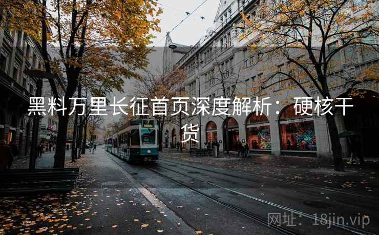 黑料万里长征首页深度解析：硬核干货