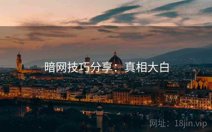 暗网技巧分享：真相大白