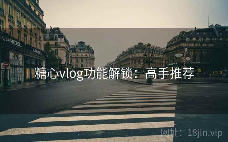 糖心vlog功能解锁：高手推荐