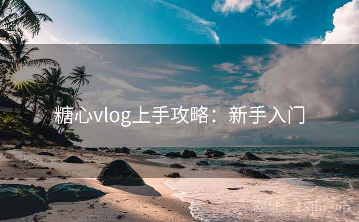 糖心vlog上手攻略：新手入门