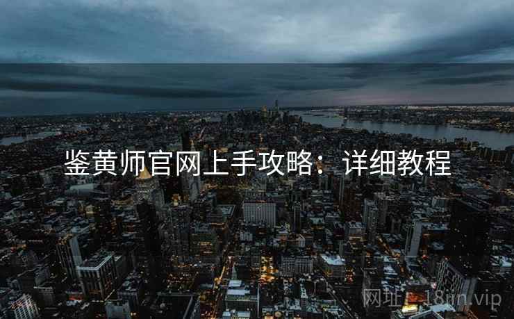 鉴黄师官网上手攻略：详细教程